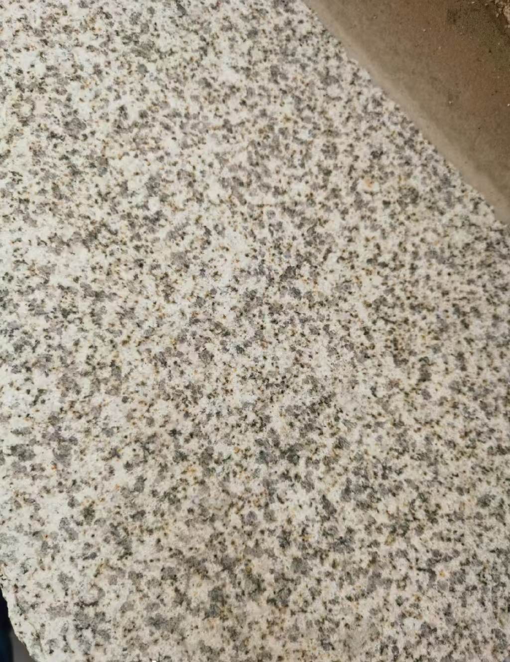 蚌埠 黄金麻中黄光面