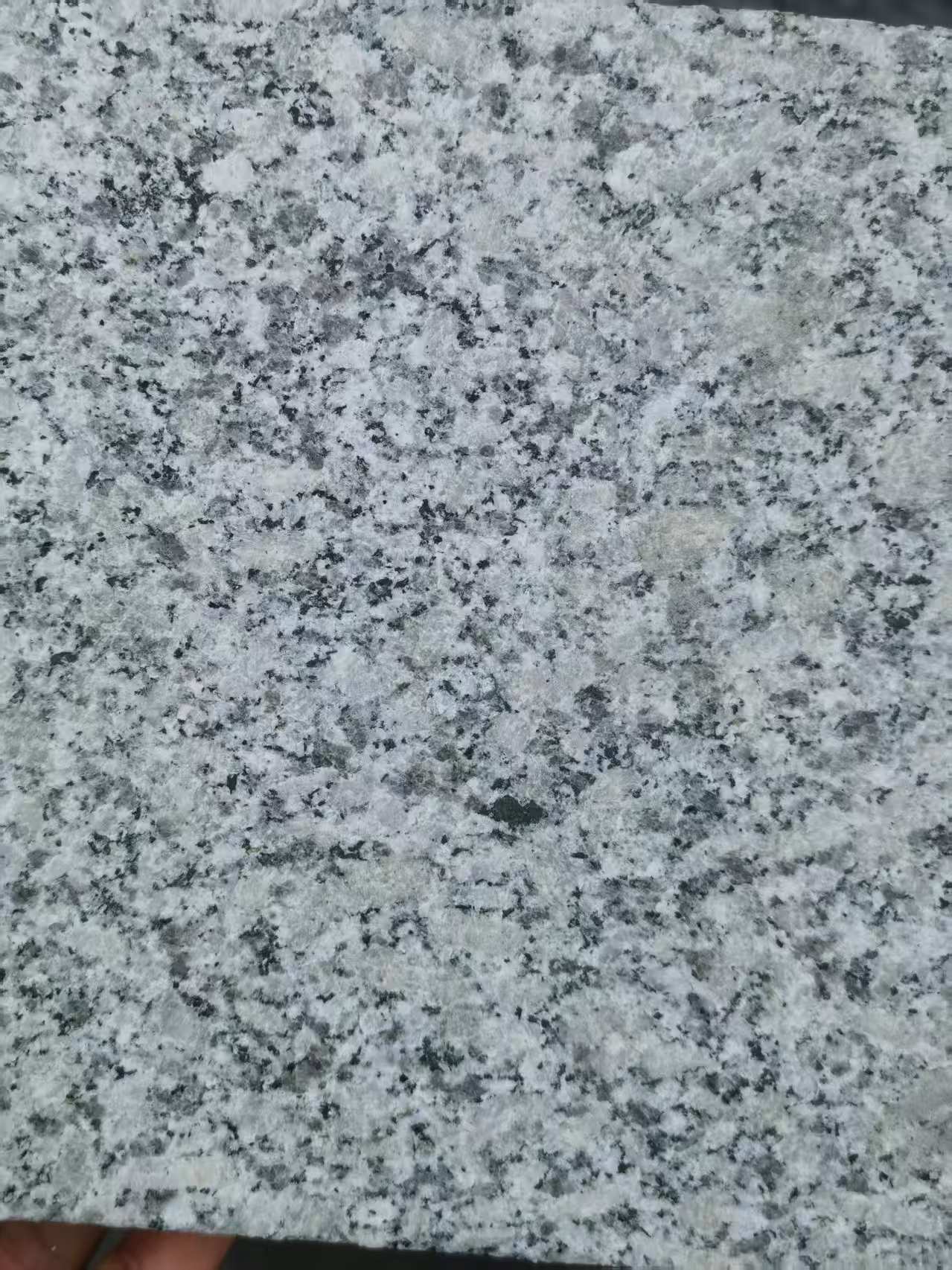 蚌埠 芙蓉白火烧面