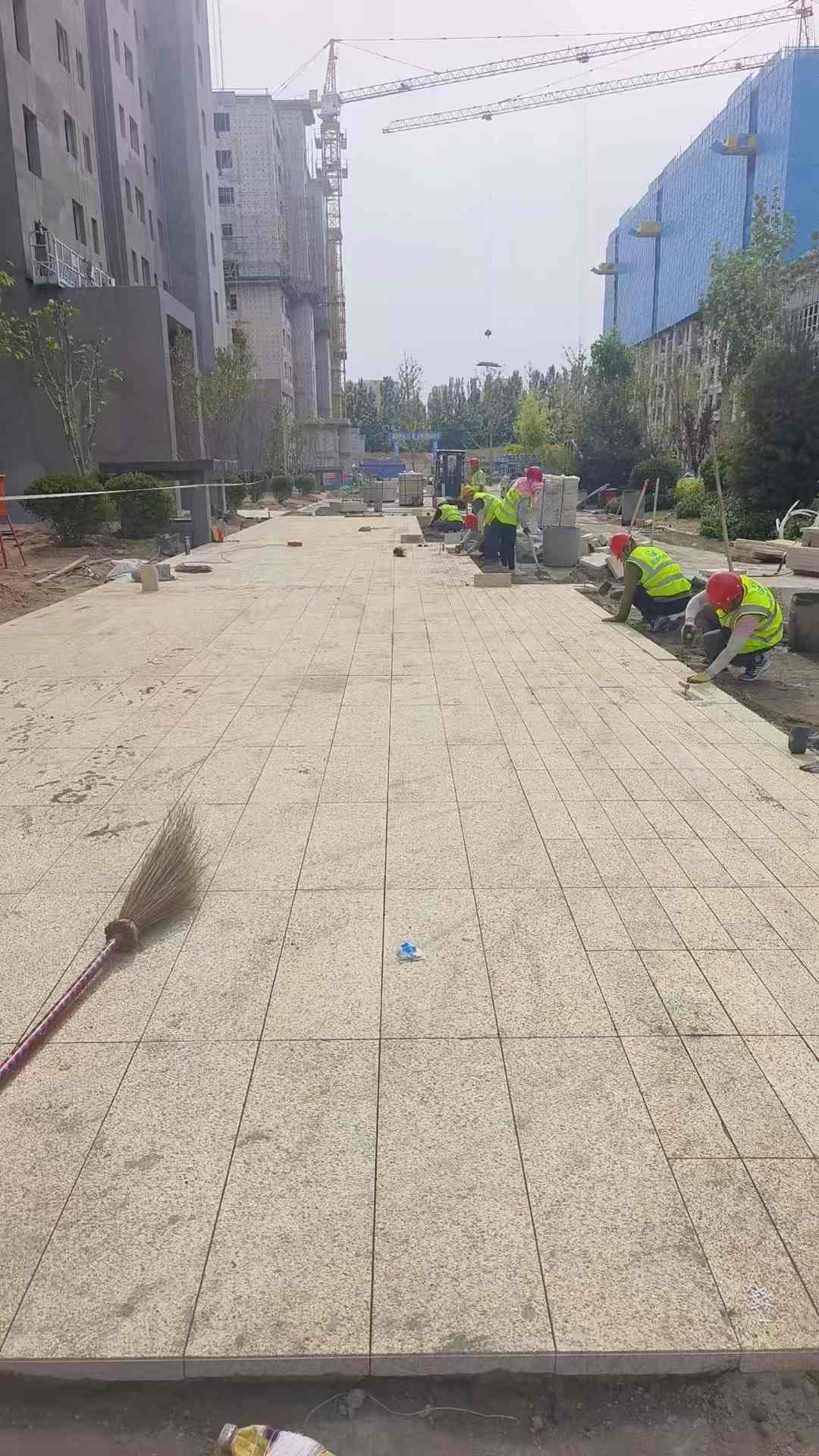 蚌埠黄金麻荔枝面地铺案例