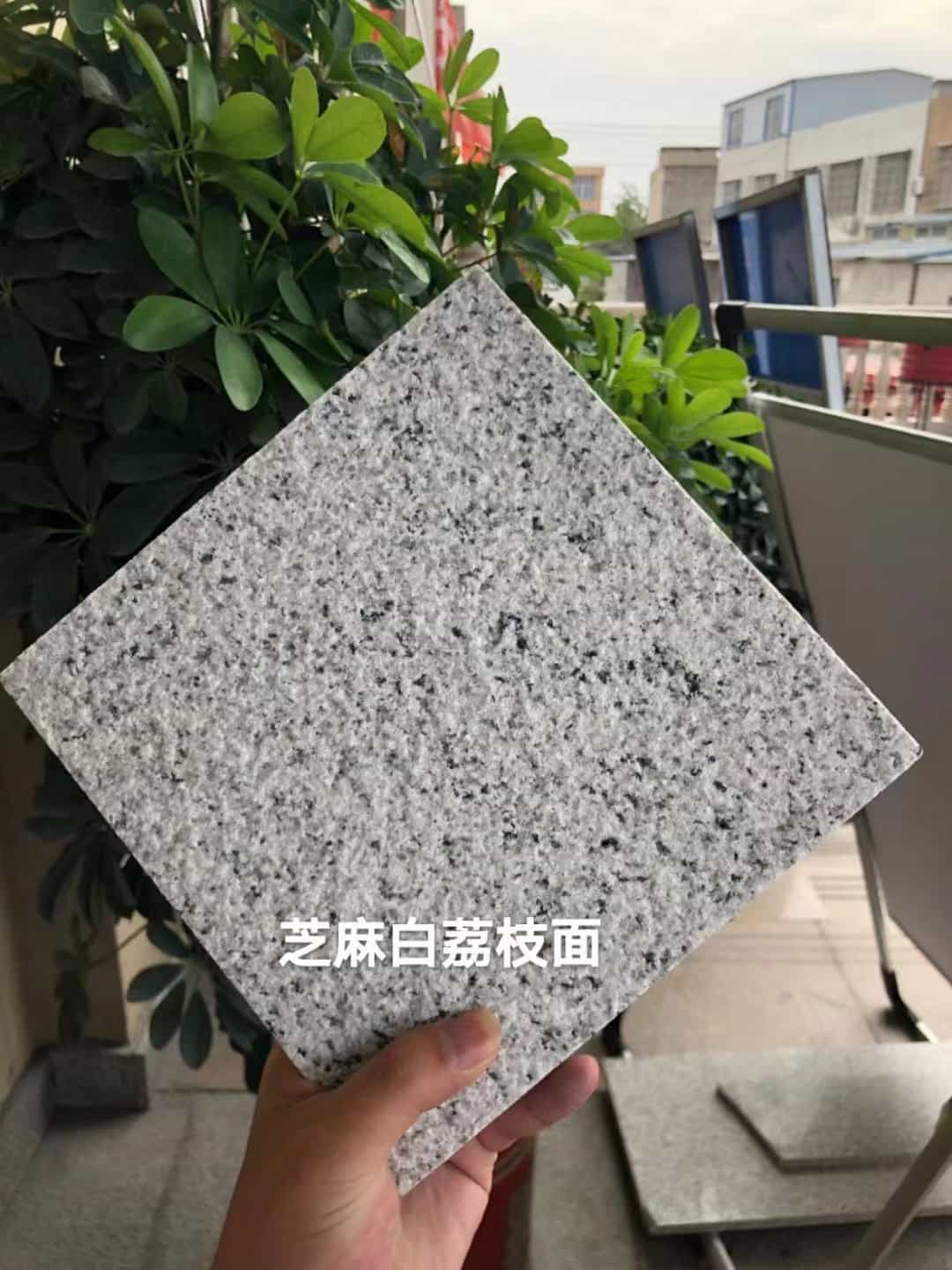 蚌埠 芝麻白荔枝面干挂