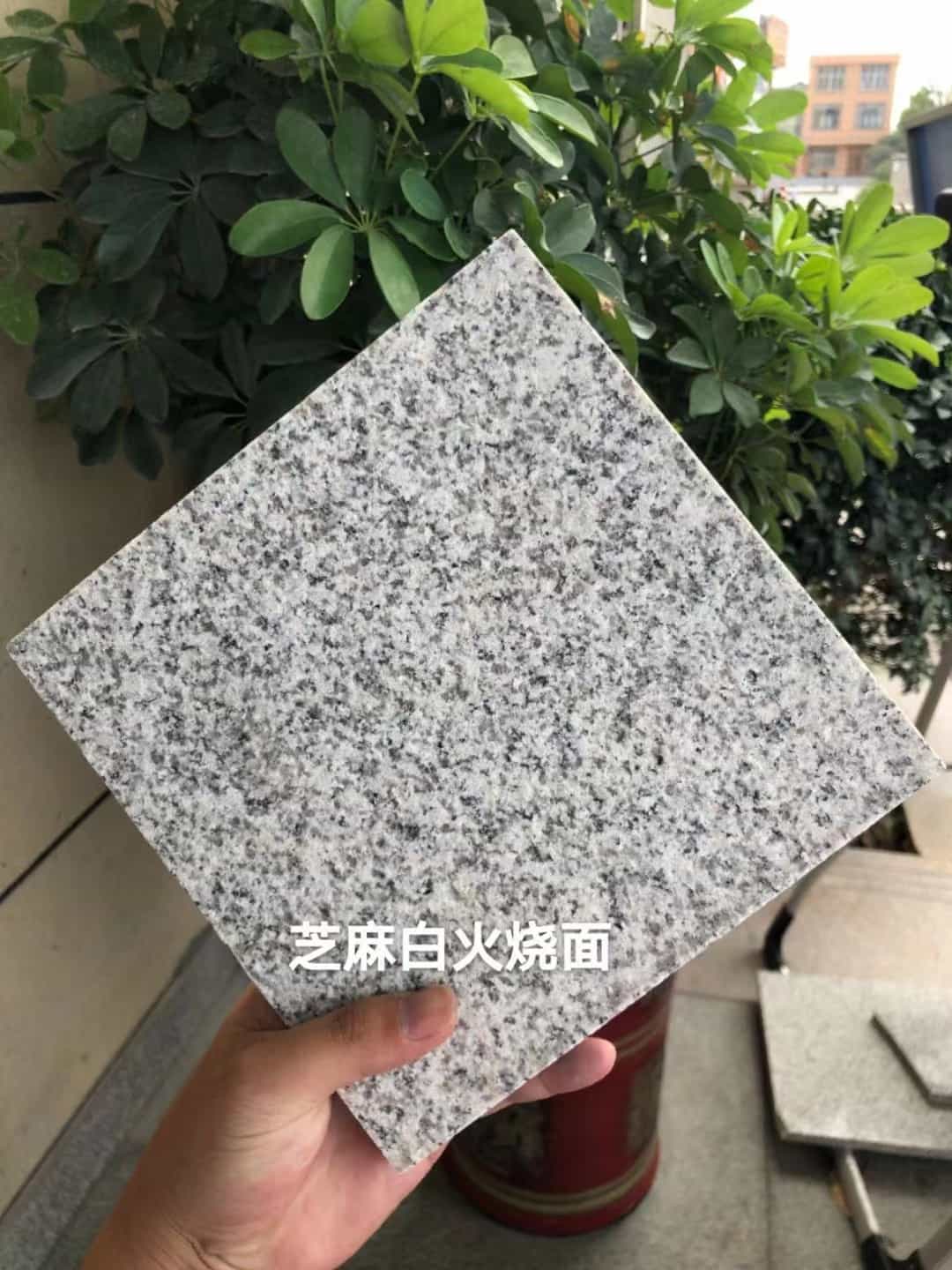 蚌埠芝麻白火烧面地铺