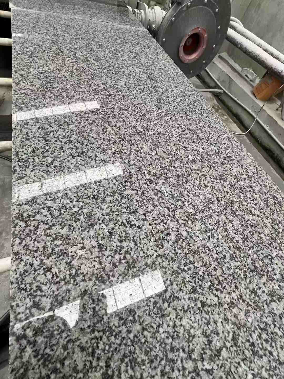 蚌埠 芙蓉白光面